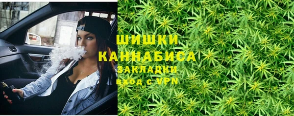 прущие грибы Абдулино