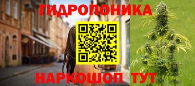 ПСИЛОЦИБИНОВЫЕ ГРИБЫ Кулебаки